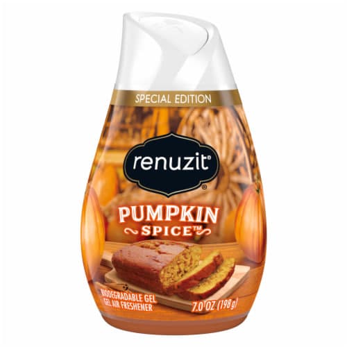 Gel Air Freshener Pumpkin Spice - Renuzit