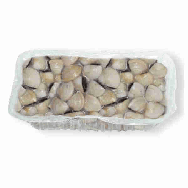 Chilled White Clams 1,2kg