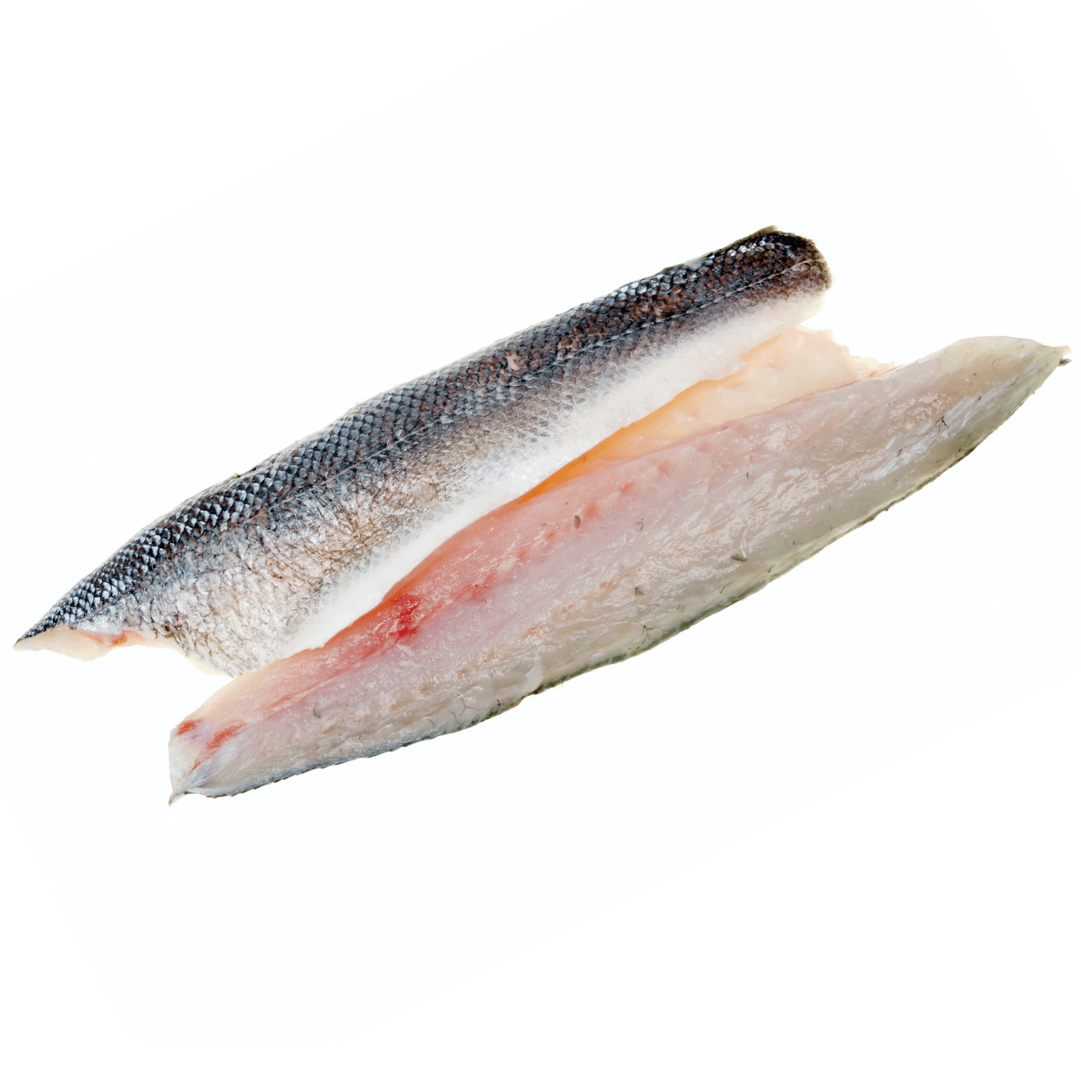 Barramundi Fillet