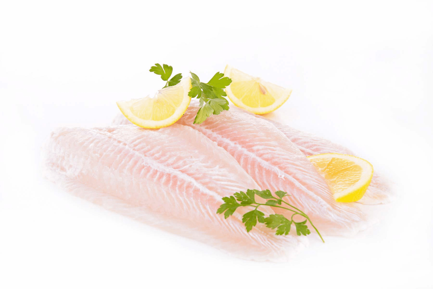 Pacific Dory Fillet