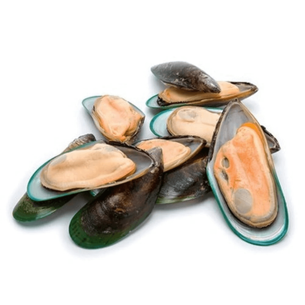 Green Half Shell Mussel