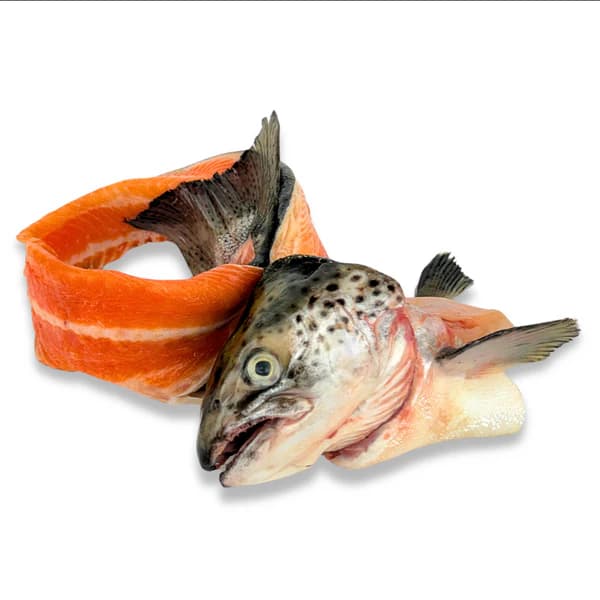 Salmon Head & Bones