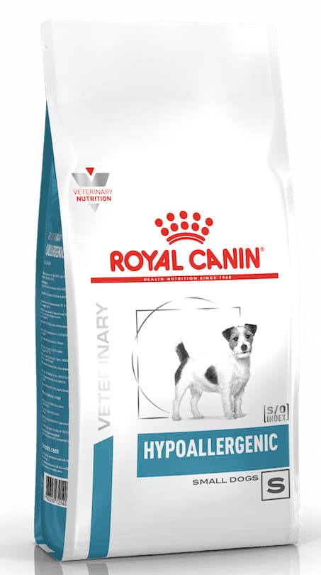 Hypoallergenic Small Dogs