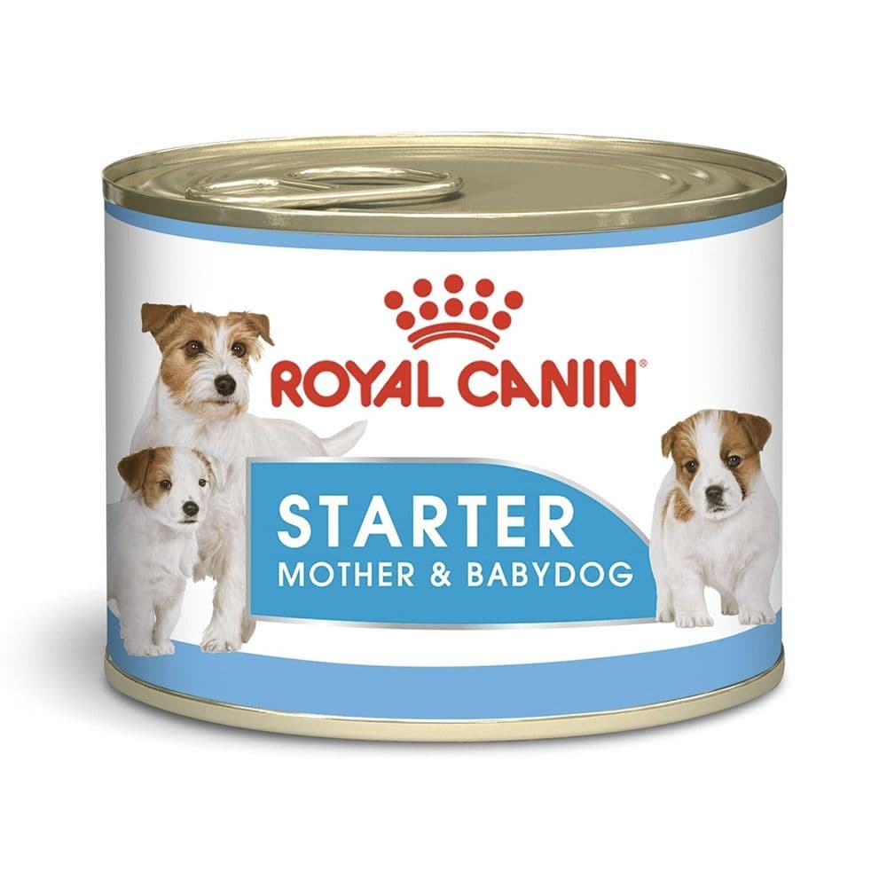 Starter