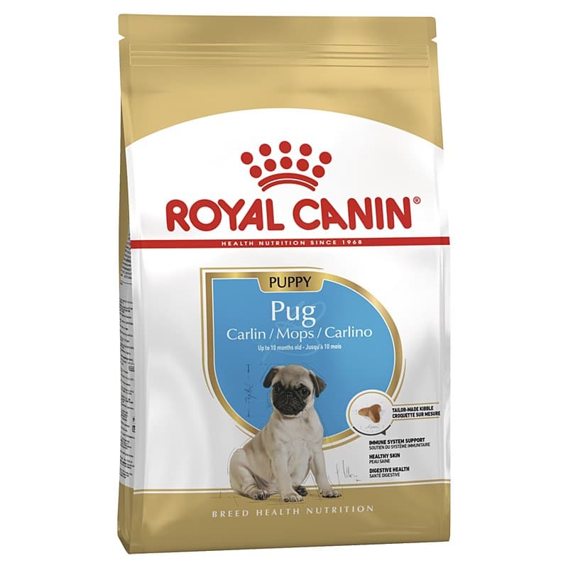 Puppy Pug Carlin/Mops/Carlino