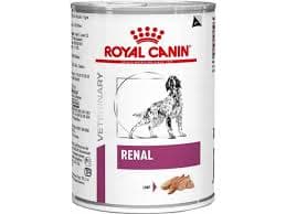 Renal
