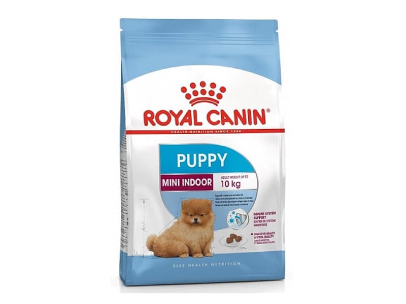 Puppy Mini Indoor