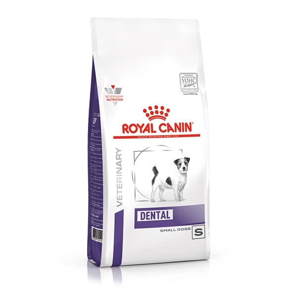 Dental Small Dogs