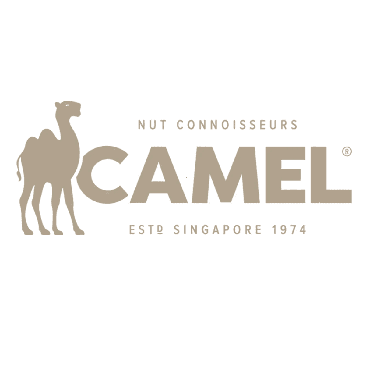 Camel