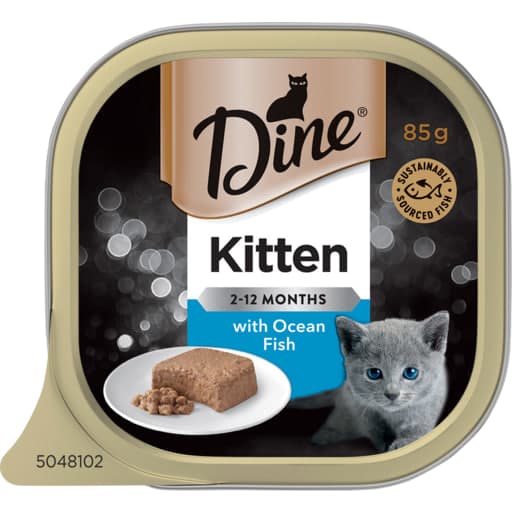 Kitten with Ocean Fish - Dine