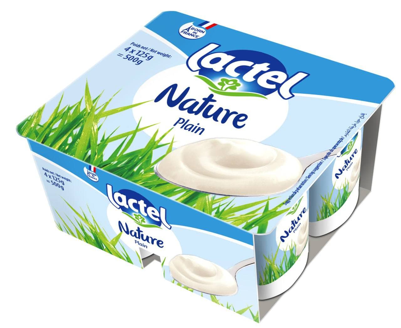 Plain Yogurt 1
