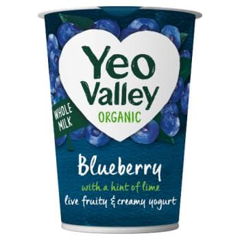 Organic Yogurt Blueberry with a Hint of Lime