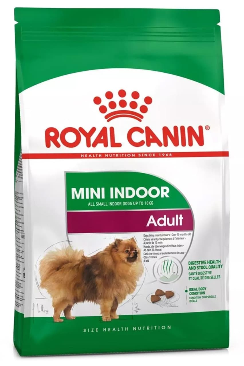 Adult Mini Indoor