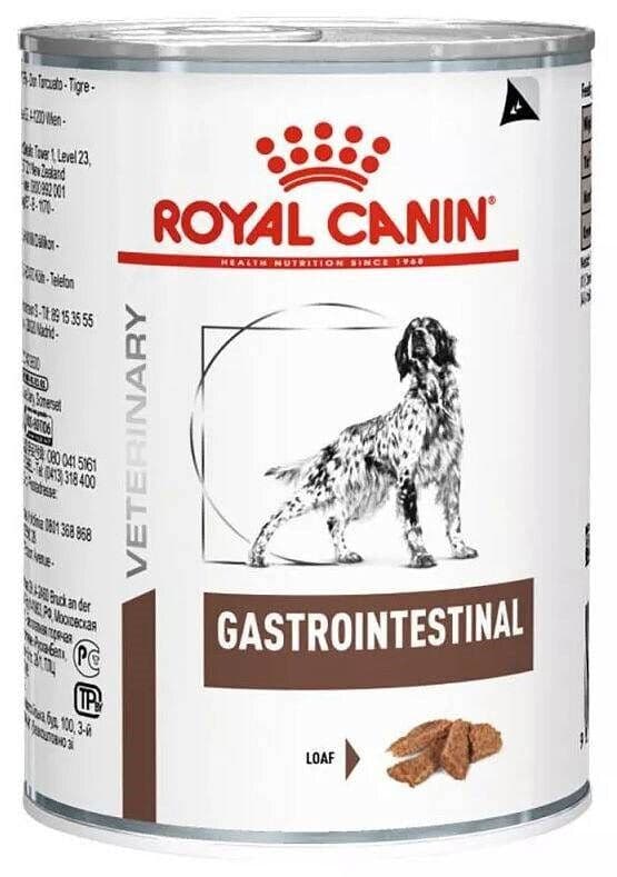 Gastrointestnal
