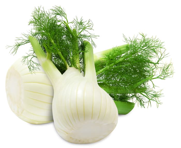 Fresh Fennel