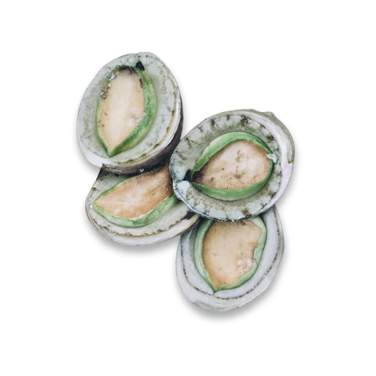 Greenlip Abalone 10-12pcs