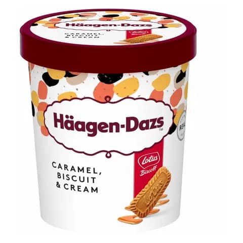 Caramel Biscuit & Cream Ice Cream