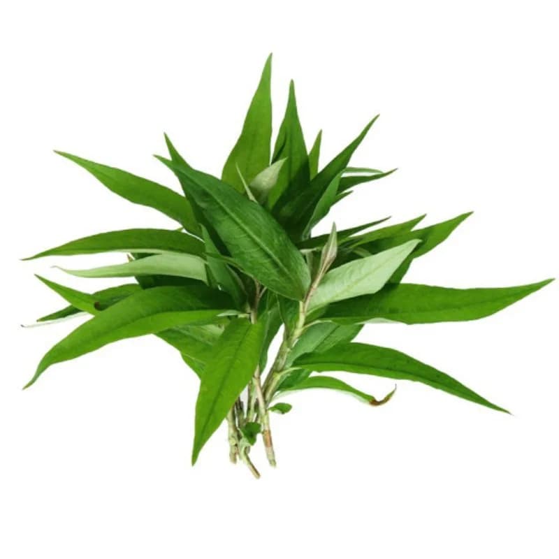 Laksa Leafs