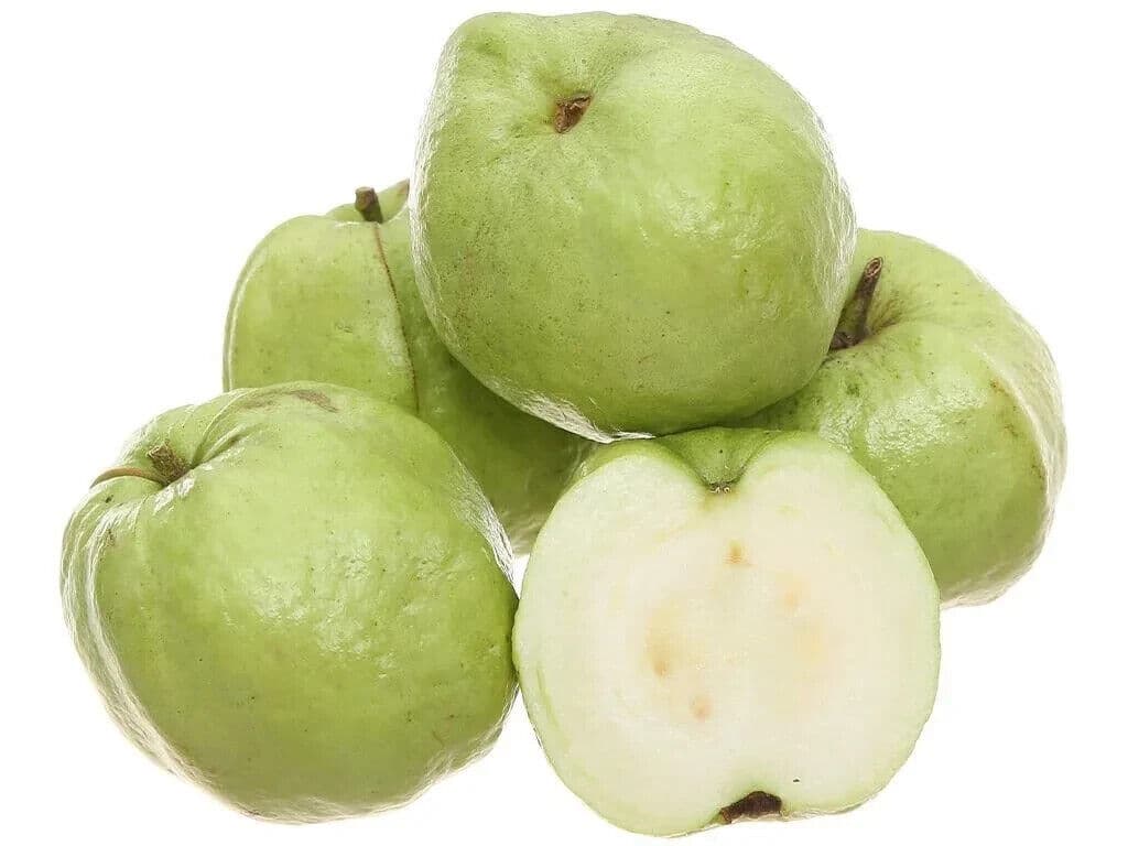 Seedless Guava