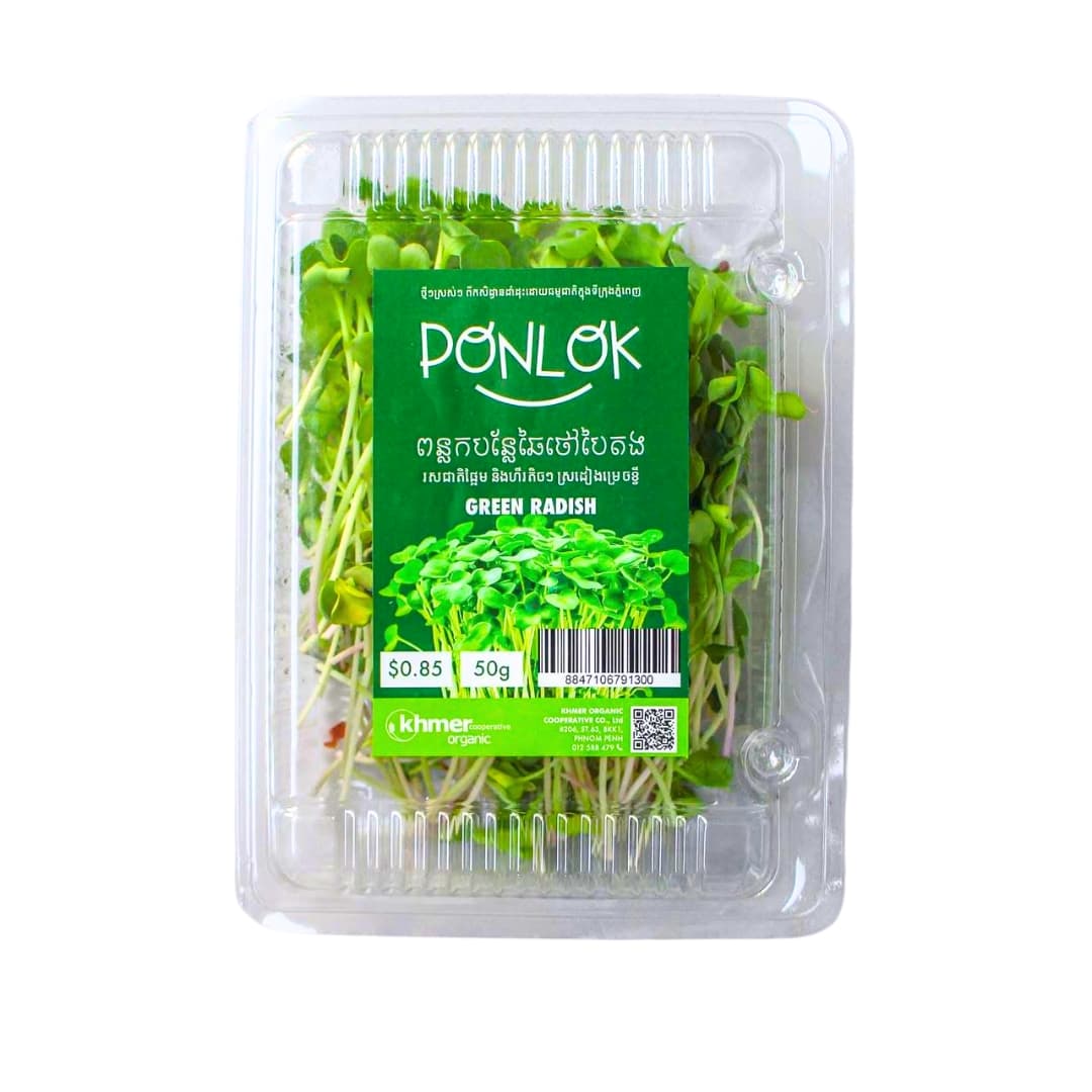Micogreen Green Radish