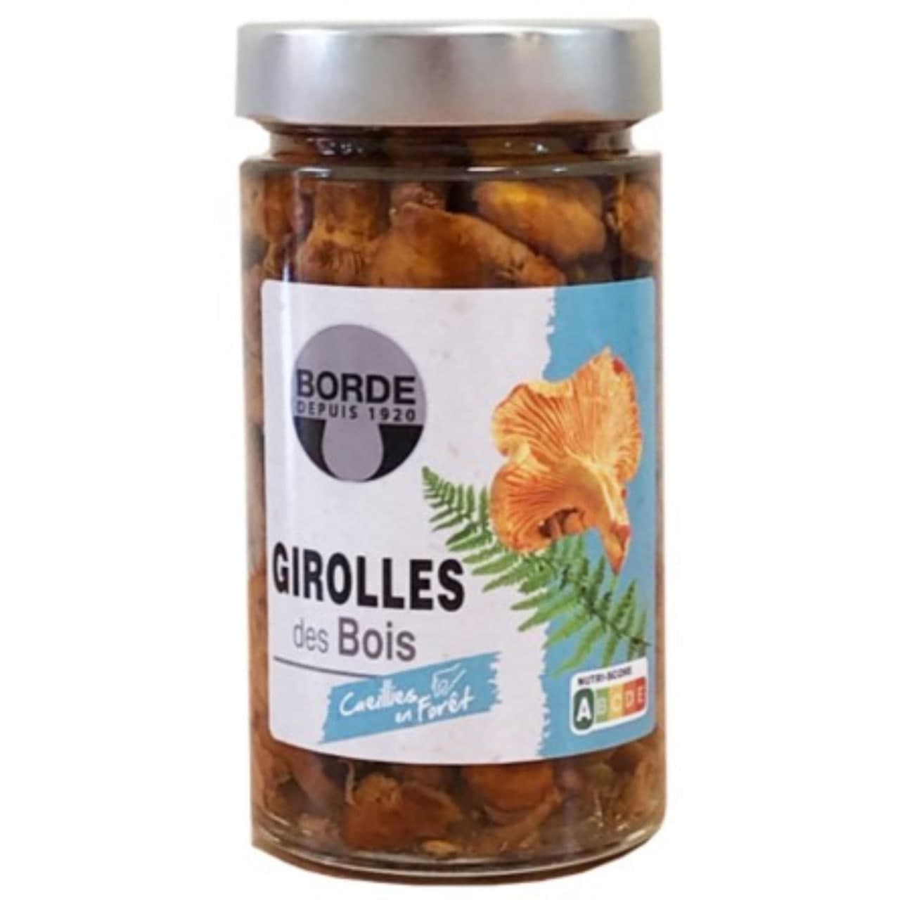 Chantrerelles Mushroom 