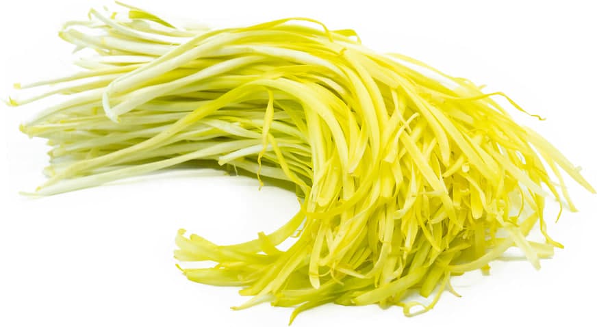 Yellow Chives