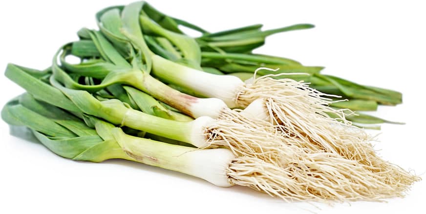 Green Garlic