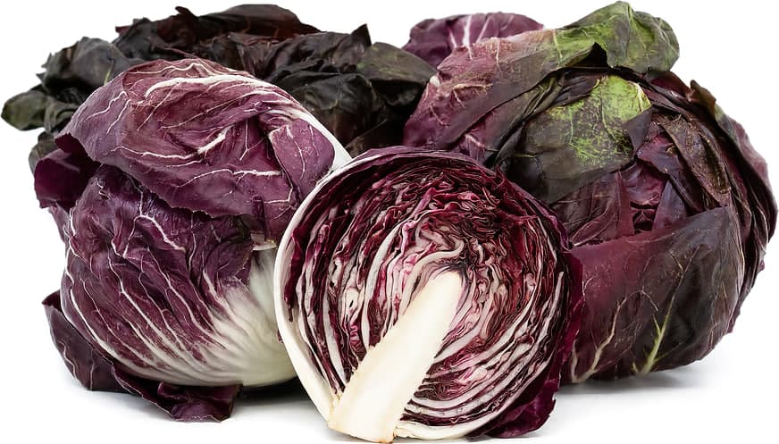 Radicchio
