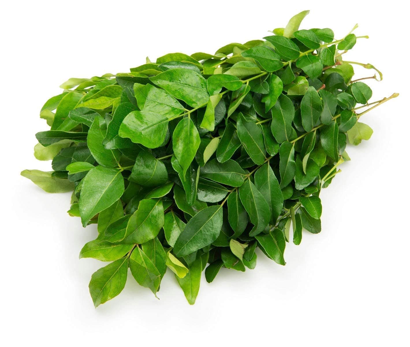 Fresh Curry Leaf