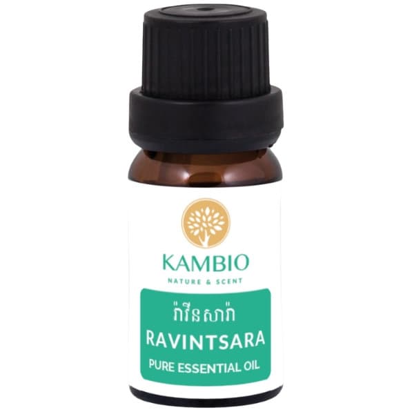 Ravintsara Essential Oil - Kambio