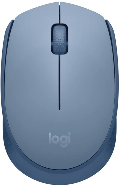 Wireless Mouse M171 - Blue