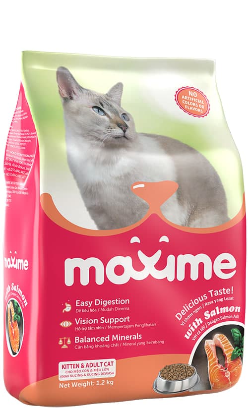 Delicious Taste with Salmon Kitten & Adult Cat