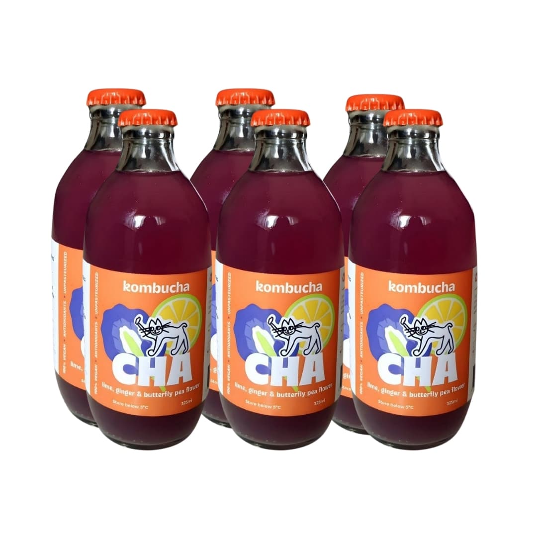 Lime, Ginger, Butterfly Pea Flower Kombucha Pack of 6