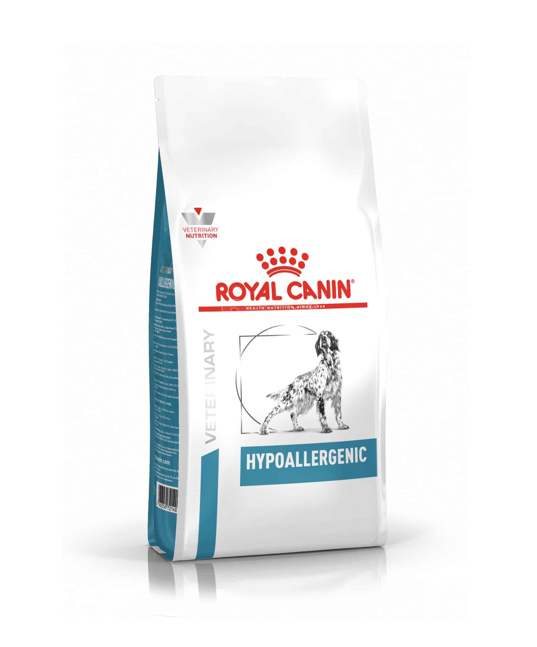 Hypoallergenic Dog