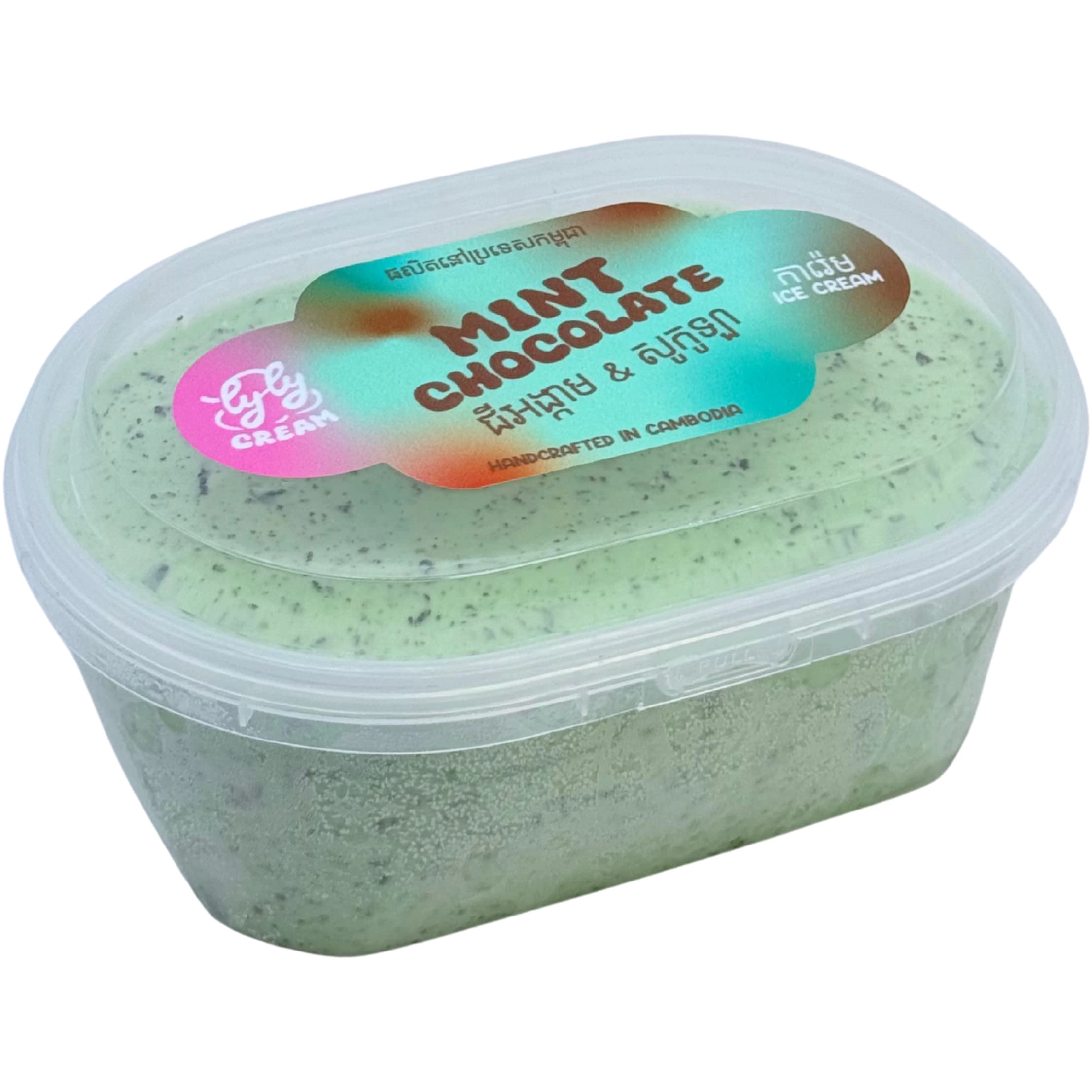 Mint Chocolate Ice Cream