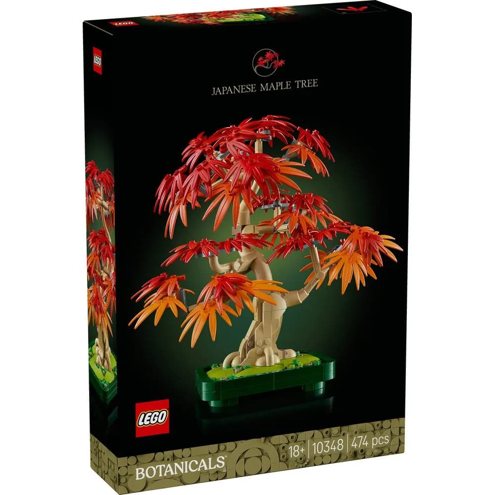 Japanese Maple Tree