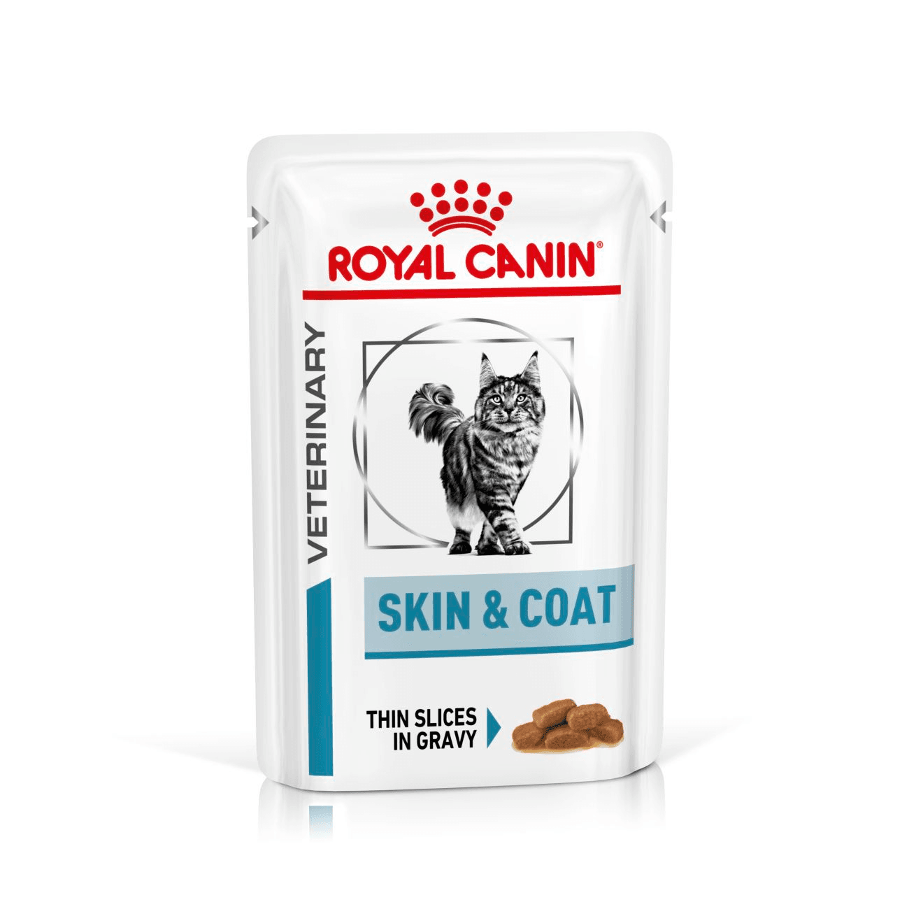 Skin & Coat Thin Slices in Gravy Pouch
