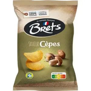 Porcini Mushroom Chips - Bret's