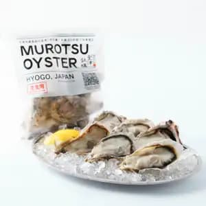 Japanese Premium Oyster - Murotsu