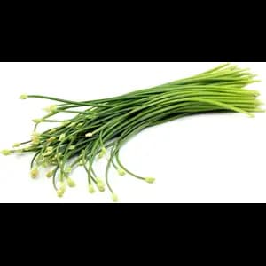 Chive Flower