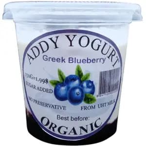 Greek Blueberry Yogurt - Addy Yogurt