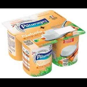 Pasture Sugar Cane - Pâturages