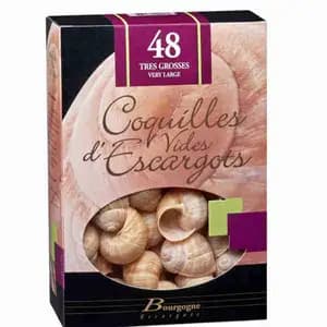 Very Large Empty Snails Shell
