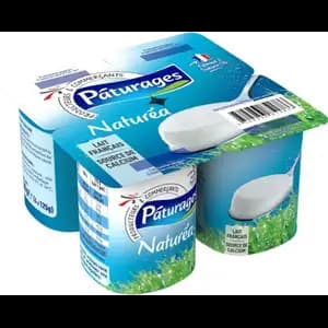 Plain Yogurt - Pâturages