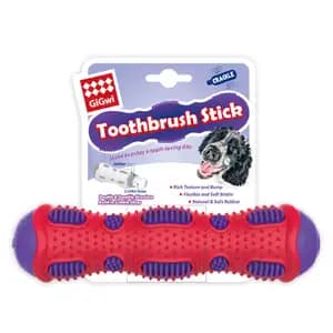 Toothbrush Stick Dental Chew With Crackle - Gigwi