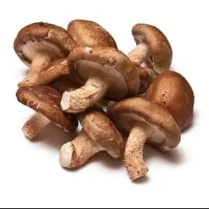 Black Mushroom (Shiitake)