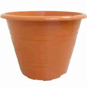 TN Series Flower Pot (Cotta) - Baba