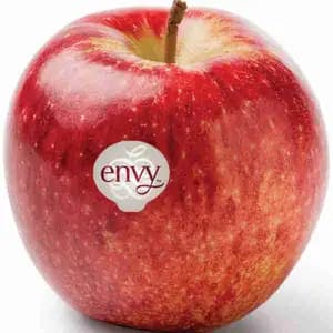 Apple Envy Big - Rithy 1 Supply