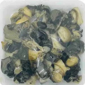 Snail Meat - Rithy 1 Supply