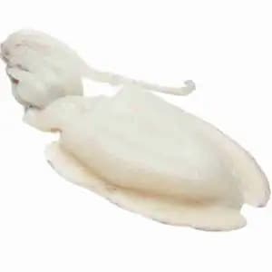 Sepia Squid - Rithy 1 Supply